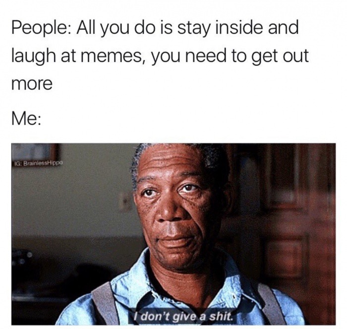 don t give a shit gif - People All you do is stay inside and laugh at memes, you need to get out more Me Ig BrainlessHippo I don't give a shit.