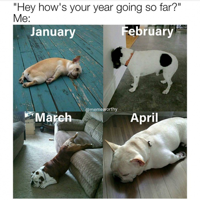 how's your year been meme - Me "Hey how's your year going so far?" January February March April