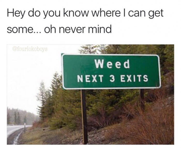 weed - Hey do you know where I can get some... oh never mind Weed Next 3 Exits