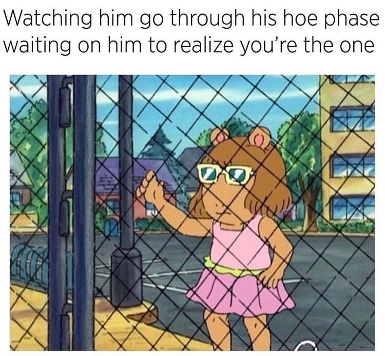 dw fence meme - Watching him go through his hoe phase waiting on him to realize you're the one