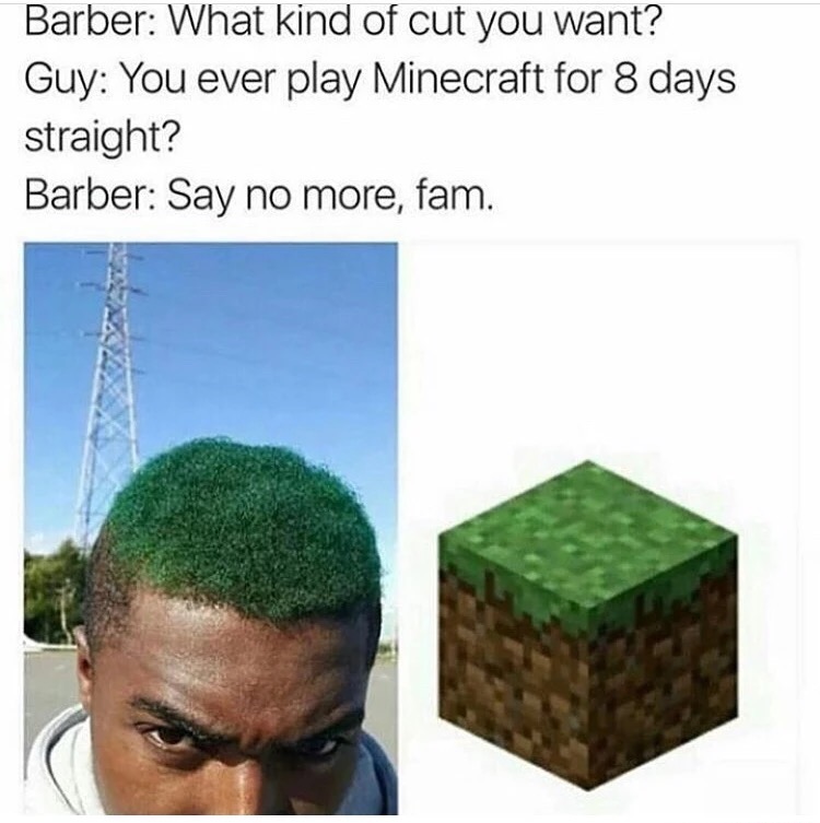 memes - minecraft barber meme - Barber What kind of cut you want? Guy You ever play Minecraft for 8 days straight? Barber Say no more, fam.