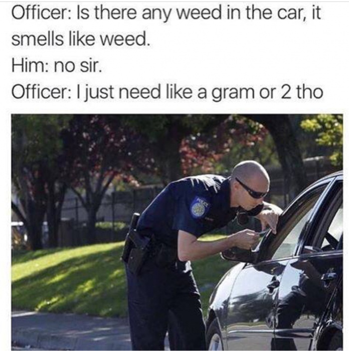 memes - kevin spacey meme im gay - Officer Is there any weed in the car, it smells weed. Him no sir. Officer I just need a gram or 2 tho