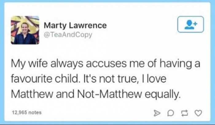 memes - education - Le Marty Lawrence My wife always accuses me of having a favourite child. It's not true, I love Matthew and NotMatthew equally. 12,965 notes