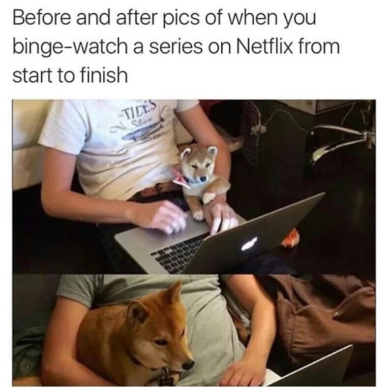 funny binge watching meme - Before and after pics of when you bingewatch a series on Netflix from start to finish Tides