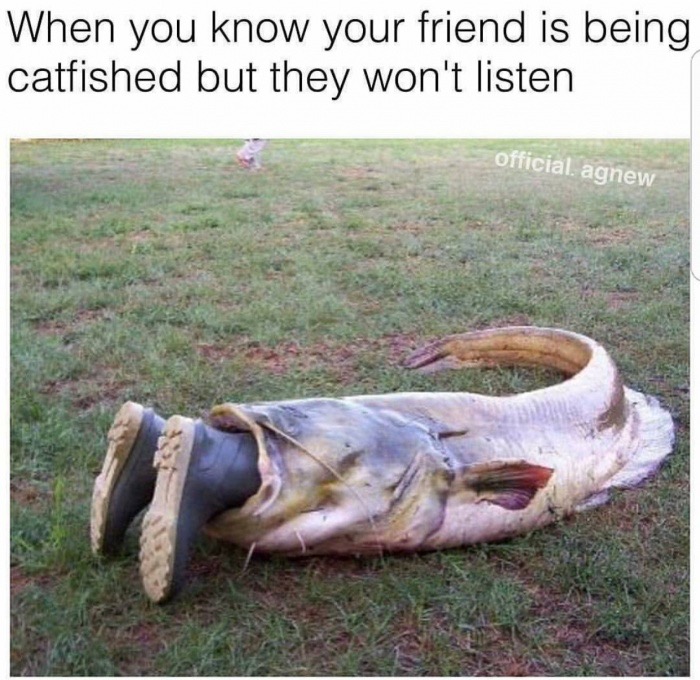 big fish funny - When you know your friend is being catfished but they won't listen official, agnew