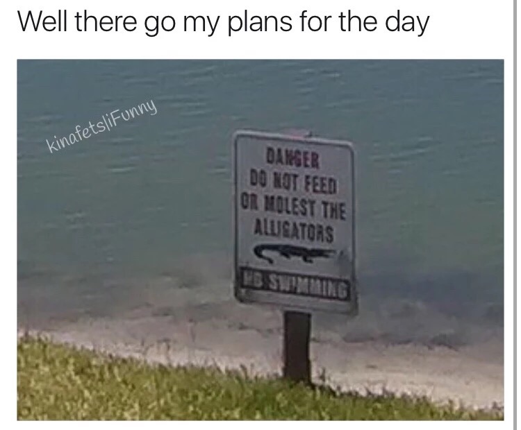 funny alligator memes - Well there go my plans for the day kinafetsliFunny Danger Do Not Feed Or Molest The Awsators Hb Swimming