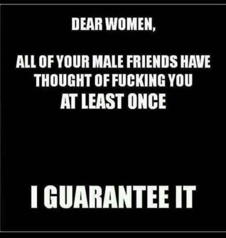 meme - Dear Women All Of Your Male Friends Have Thought Of Fucking You At Least Once I Guarantee It