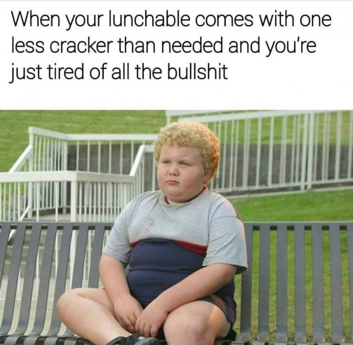 funny random memes - When your lunchable comes with one less cracker than needed and you're just tired of all the bullshit