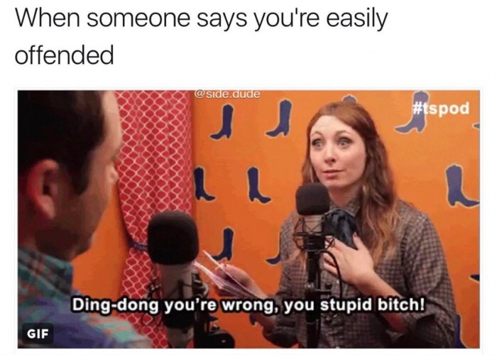 ding dong you re wrong you stupid bitch - When someone says you're easily offended .dude Dingdong you're wrong, you stupid bitch! Gif