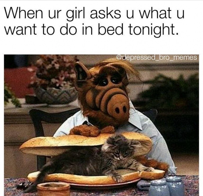 alf dank memes - When ur girl asks u what u want to do in bed tonight.