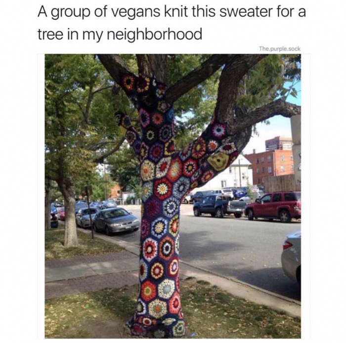 branch - A group of vegans knit this sweater for a tree in my neighborhood The purple.sock 30