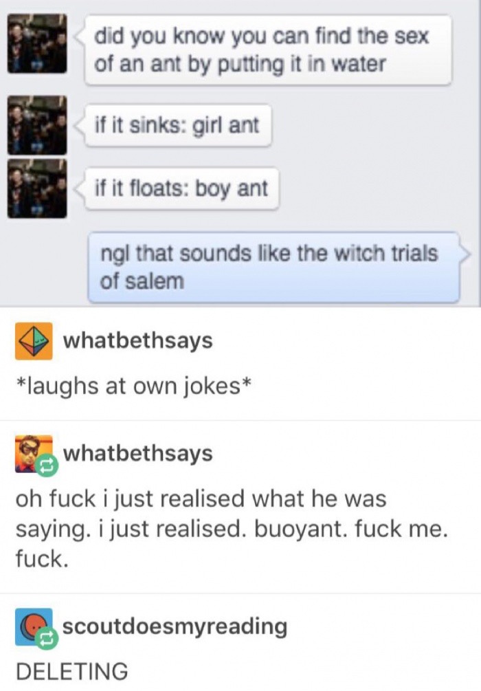 girl fuck boy jokes - did you know you can find the sex of an ant by putting it in water if it sinks girl ant if it floats boy ant ngl that sounds the witch trials of salem whatbethsays laughs at own jokes whatbethsays oh fuck i just realised what he was 