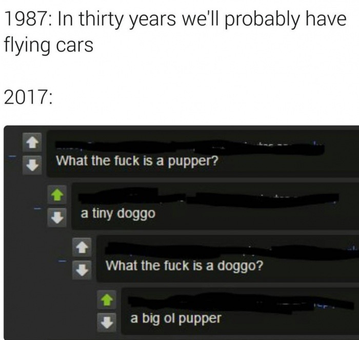 electronics - 1987 In thirty years we'll probably have flying cars 2017 What the fuck is a pupper? a tiny doggo What the fuck is a doggo? a big ol pupper