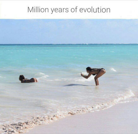 millions of years of evolution - Million years of evolution