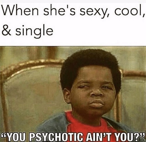 single memes - When she's sexy, cool, & single You Psychotic Ain'T You?"