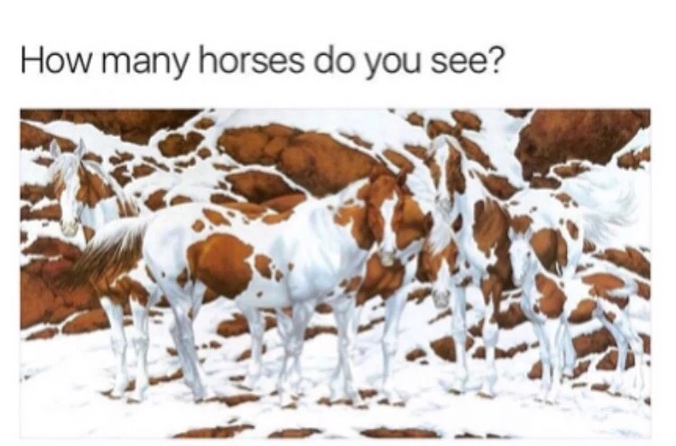 many horses - How many horses do you see?