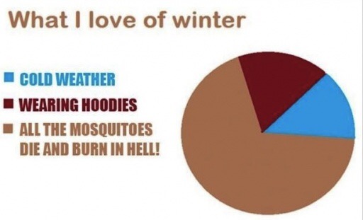 love winter meme - What I love of winter Cold Weather Wearing Hoodies All The Mosquitoes Die And Burn In Hell!