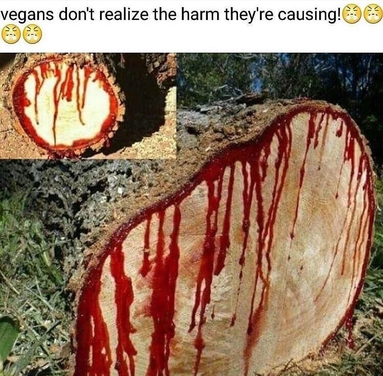 dragon blood tree - vegans don't realize the harm they're causing!