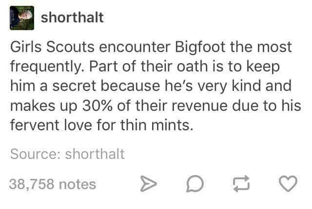 Tomorrow X Together - shorthalt Girls Scouts encounter Bigfoot the most frequently. Part of their oath is to keep him a secret because he's very kind and makes up 30% of their revenue due to his fervent love for thin mints. Source shorthalt 38,758 notes >
