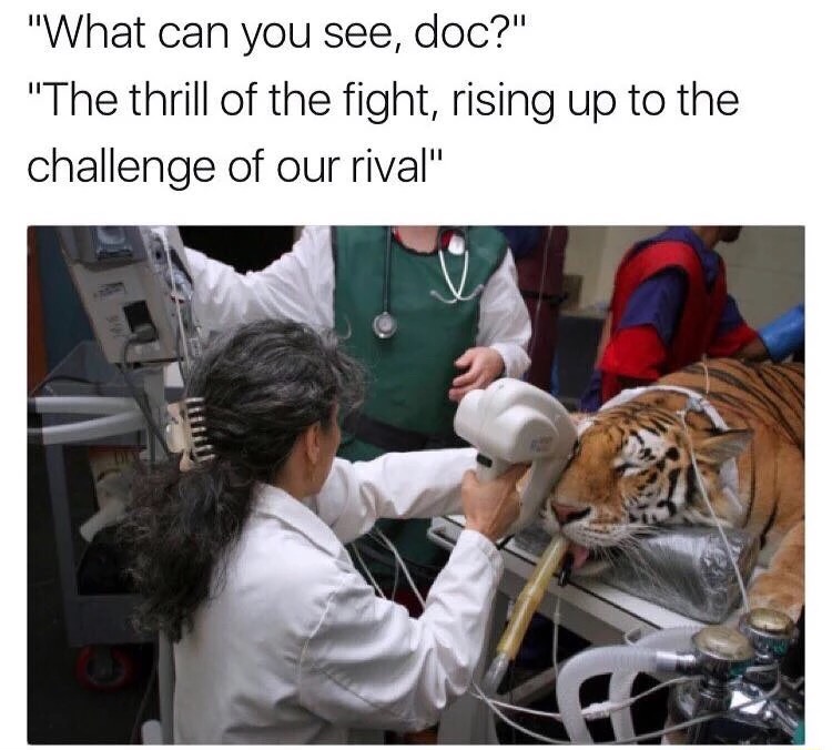thrill of a challenge - "What can you see, doc?" "The thrill of the fight, rising up to the challenge of our rival"