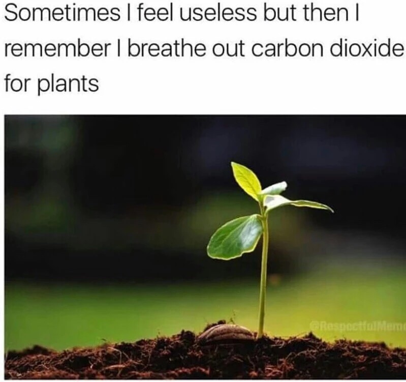 wholesome exam meme - Sometimes I feel useless but then I remember I breathe out carbon dioxide for plants GROSDoctem