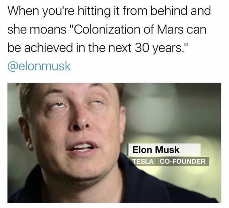 elon musk funny - When you're hitting it from behind and she moans "Colonization of Mars can be achieved in the next 30 years." Elon Musk Tesla CoFounder