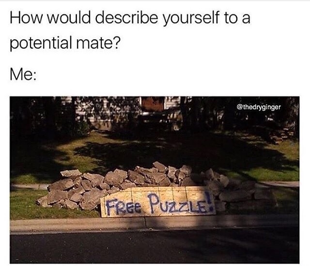 meme - would you describe yourself to a potential mate meme - How would describe yourself to a potential mate? Me Free Puzzle