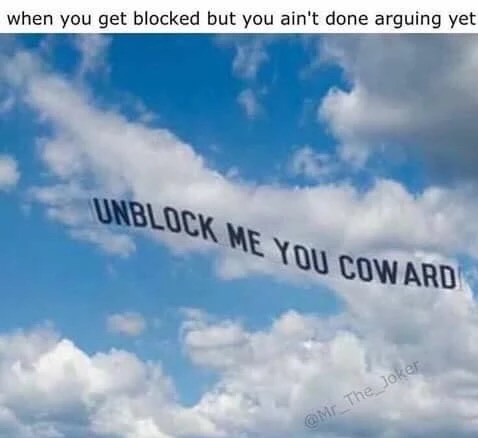 meme - sky - when you get blocked but you ain't done arguing yet Unblock Me You Coward