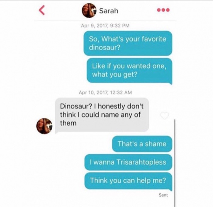 meme - multimedia - Sarah , So, What's your favorite dinosaur? if you wanted one, what you get? , Dinosaur? I honestly don't think I could name any of them That's a shame I wanna Trisarahtopless Think you can help me? Sent