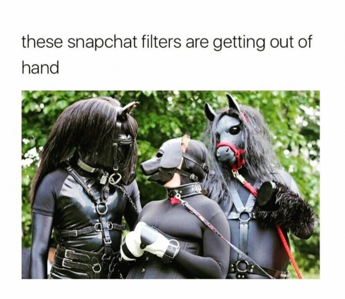 memes - memes furry snapchat filter - these snapchat filters are getting out of hand