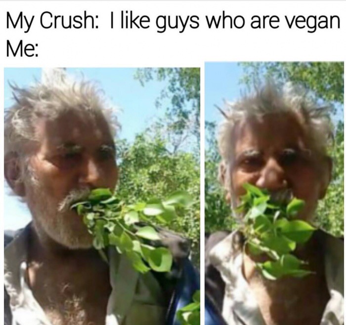 memes - amusing meme - My Crush I guys who are vegan Me