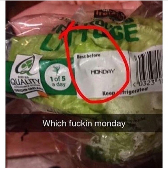 memes - best you had one job memes - Best before Monday Quality 1 of 5 a day 1