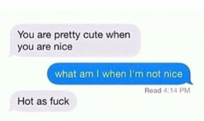 memes - couple quotes - You are pretty cute when you are nice what am I when I'm not nice Read Hot as fuck