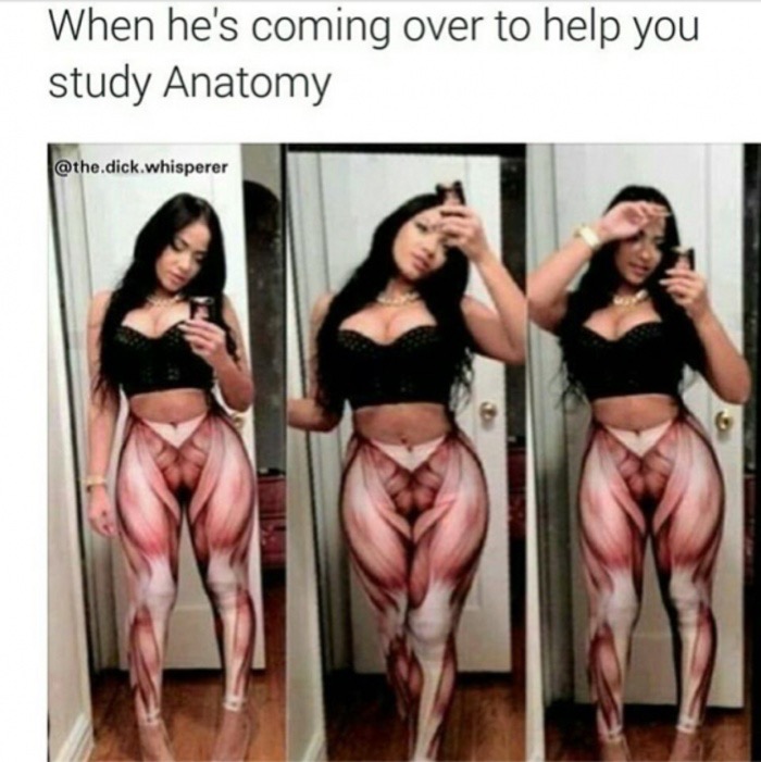 memes - thigh - When he's coming over to help you study Anatomy .dick.whisperer