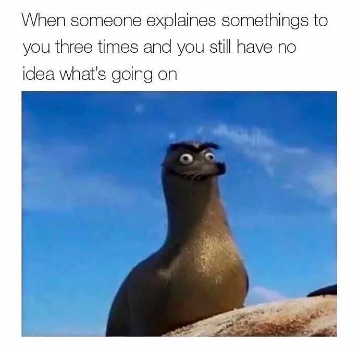 memes - seal meme - When someone explaines somethings to you three times and you still have no idea what's going on