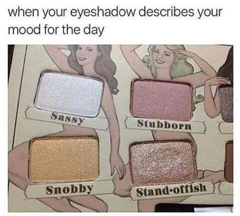 memes - Eye shadow - when your eyeshadow describes your mood for the day Sassy Stubborn Snobby Standoffish