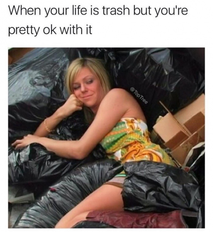 meme stream - photo caption - When your life is trash but you're pretty ok with it Tree