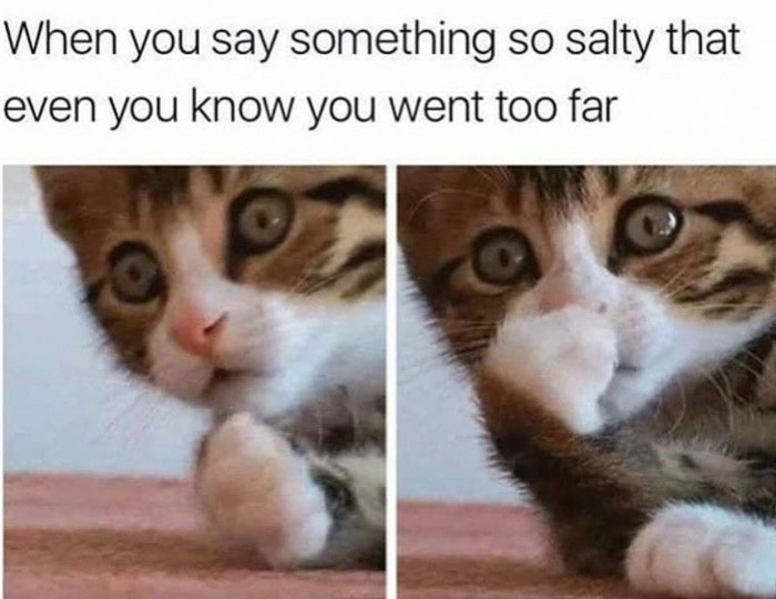 meme stream - funny t shirt quotes - When you say something so salty that even you know you went too far