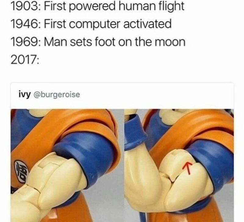 meme stream - going even further beyond - 1903 First powered human flight 1946 First computer activated 1969 Man sets foot on the moon 2017 ivy