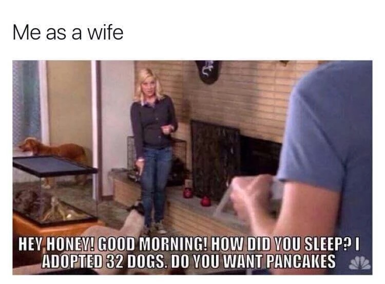 meme stream - adopted 32 dogs meme - Me as a wife Hey Honey! Good Morning! How Did You Sleep? I Adopted 32 Dogs. Do You Want Pancakes 2