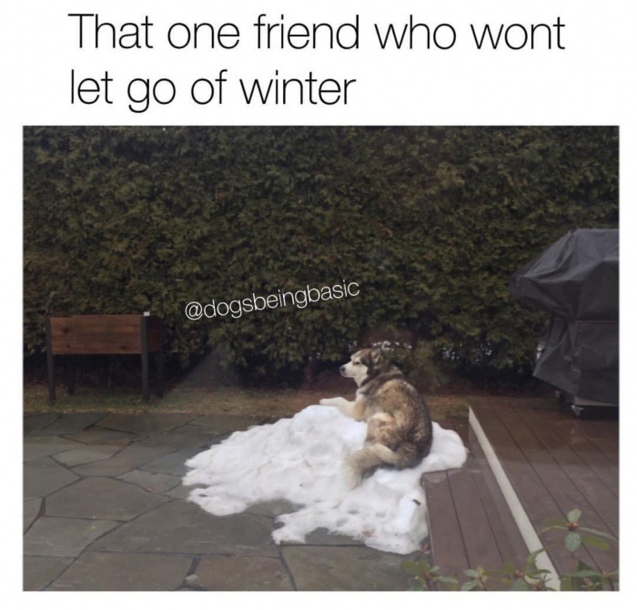 meme stream - winter meme - That one friend who wont let go of winter