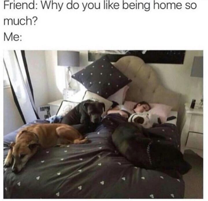 meme stream - like being home meme - Friend Why do you being home so much? Me