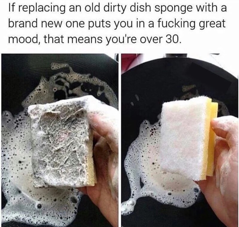 meme stream - getting old funny meme - If replacing an old dirty dish sponge with a brand new one puts you in a fucking great mood, that means you're over 30.