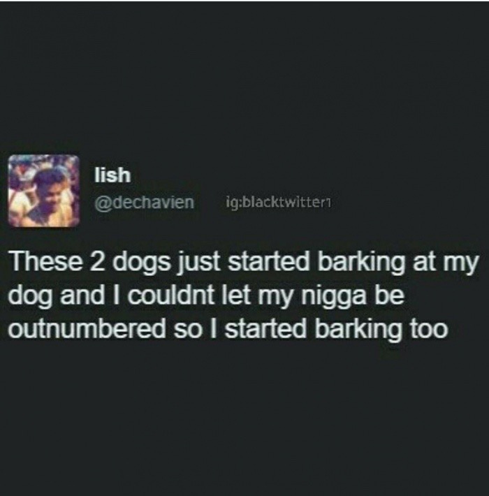memes - multimedia - lish igblacktwitter These 2 dogs just started barking at my dog and I couldnt let my nigga be outnumbered so I started barking too