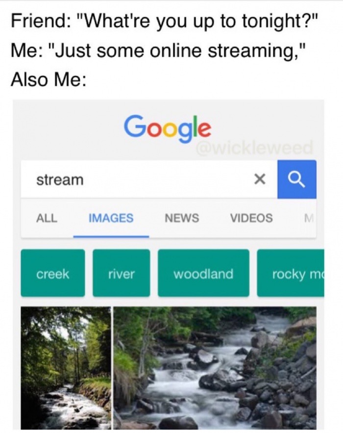 memes - water resources - Friend "What're you up to tonight?" Me "Just some online streaming," Also Me Google stream xQ All Images News Videos M creek river woodland rocky mo