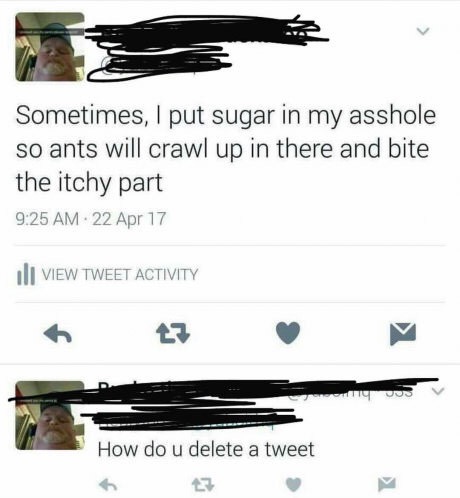 bucko the buckaroo - Sometimes, I put sugar in my asshole so ants will crawl up in there and bite the itchy part . 22 Apr 17 I View Tweet Activity How do u delete a tweet