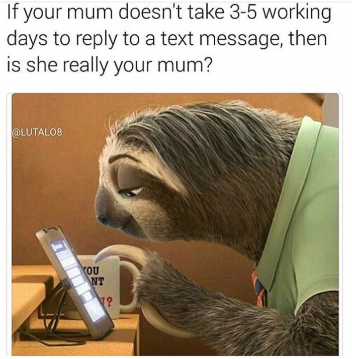 zootopia sloth scene - If your mum doesn't take 35 working days to to a text message, then is she really your mum?