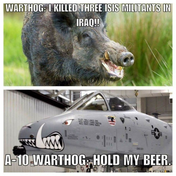 meme stream - 10 warthog memes - Warthog I Killed Three Isis Militants In Iraq!! A10 Warthog; Hold My Beer.