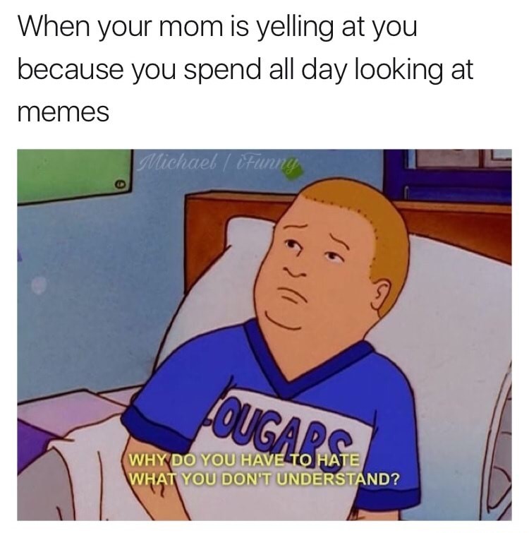 meme stream - funny bobby hill quotes - When your mom is yelling at you because you spend all day looking at memes Michael iFunny Cougarse Why Do You Have To Hate What You Don'T Understand?