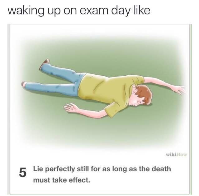 meme stream - lie perfectly still for as long - waking up on exam day wikiHow Lie perfectly still for as long as the death must take effect.